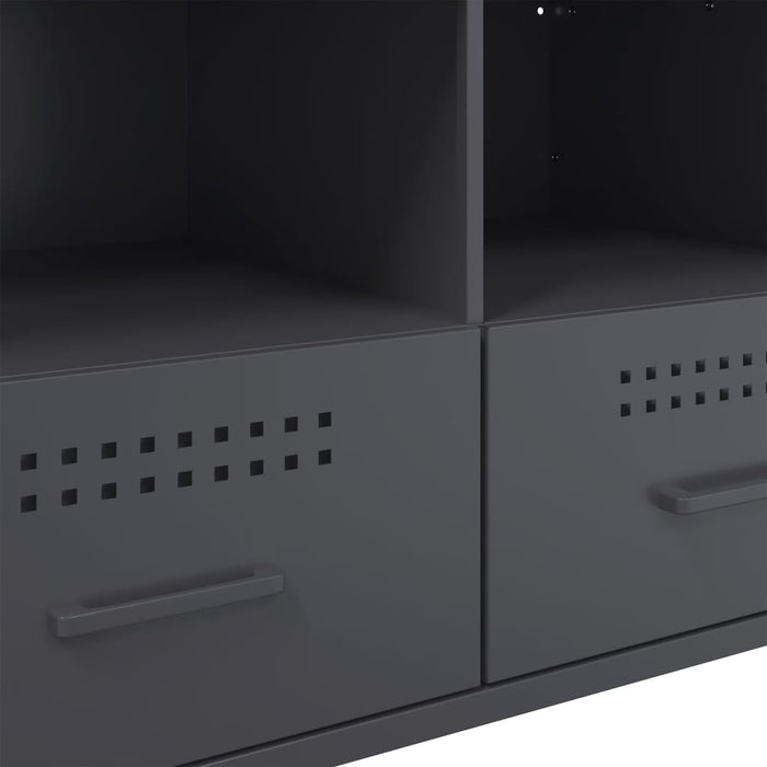 Dulapuri TV, 2 buc., antracit, 68x39x50,5 cm, oțel - WALTI WALTI