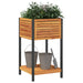 Jardinieră de grădină cu raft 45x45x80cm lemn masiv acacia/oțel - WALTI WALTI