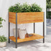 Jardinieră de grădină cu raft 80x45x80cm lemn masiv acacia/oțel - WALTI WALTI
