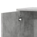 Dulapuri, 2 buc., gri beton, 60x31x70 cm, lemn prelucrat - WALTI WALTI