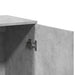 Dulapuri, 2 buc., gri beton, 79x38x80 cm, lemn prelucrat - WALTI WALTI