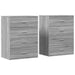 Dulapuri, 2 buc., gri sonoma, 60x39x80 cm, lemn prelucrat - WALTI WALTI