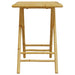 Set mobilier bistro, 3 piese, bambus - WALTI WALTI