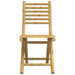Set mobilier bistro, 3 piese, bambus - WALTI WALTI