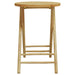 Set mobilier bistro, 3 piese, bambus - WALTI WALTI