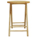 Set mobilier bistro, 3 piese, bambus - WALTI WALTI