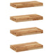 Rafturi suspendate 4 buc. 60x20x4 cm lemn masiv acacia netratat - WALTI WALTI