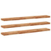Rafturi suspendate 3 buc. 160x20x4cm lemn masiv acacia netratat - WALTI WALTI