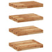 Rafturi suspendate 4 buc. 40x30x4 cm lemn masiv acacia netratat - WALTI WALTI