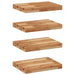 Rafturi suspendate 4 buc. 60x30x4 cm lemn masiv acacia netratat - WALTI WALTI