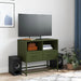 Dulap TV, verde măsliniu, 68x39x60,5 cm, oțel - WALTI WALTI