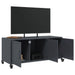 Dulap TV, antracit, 100,5x39x43,5 cm, oțel laminat la rece - WALTI WALTI
