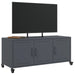Dulap TV, antracit, 100,5x39x43,5 cm, oțel laminat la rece - WALTI WALTI