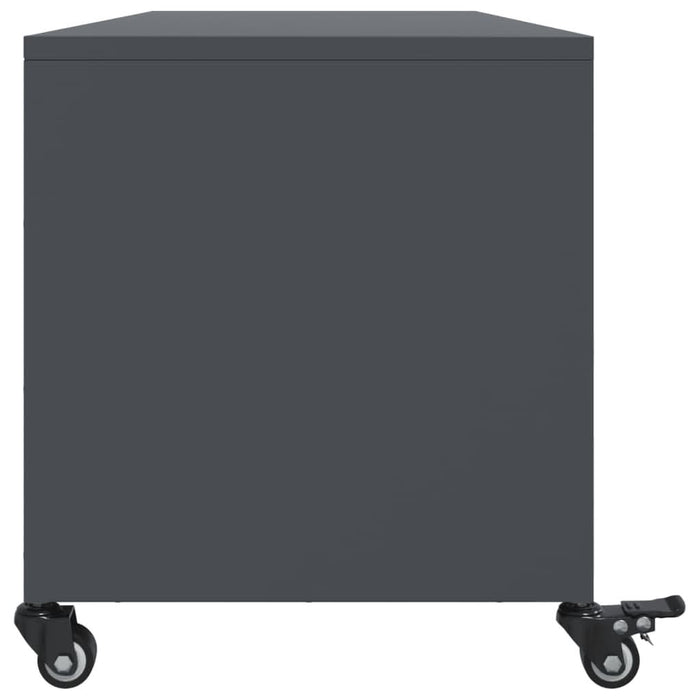 Dulap TV, antracit, 100,5x39x43,5 cm, oțel laminat la rece - WALTI WALTI