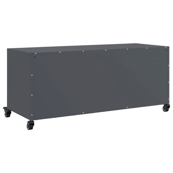 Dulap TV, antracit, 100,5x39x43,5 cm, oțel laminat la rece - WALTI WALTI