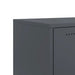Dulap TV, antracit, 100,5x39x43,5 cm, oțel laminat la rece - WALTI WALTI