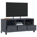 Dulap TV, antracit, 100,5x39x43,5 cm, oțel laminat la rece - WALTI WALTI