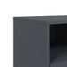Dulap TV, antracit, 68x39x43,5 cm, oțel laminat la rece - WALTI WALTI