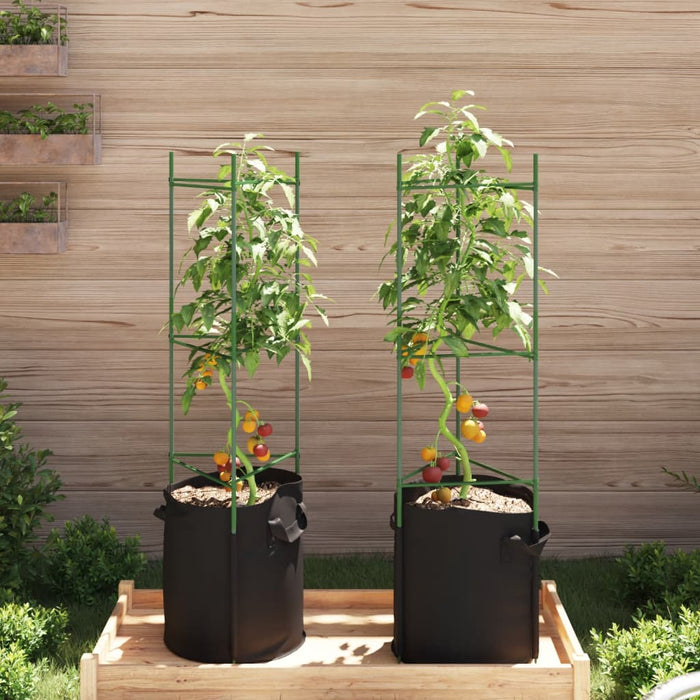 Suport pentru roșii cu sac de plante, 2 buc., 116 cm oțel și PP - WALTI WALTI