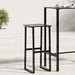 Scaune bar, 2 buc. negru 38x38x80 cm oțel vopsit electrostatic - WALTI WALTI