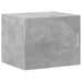 Dulap de perete, gri beton, 50x42,5x40 cm, lemn prelucrat - WALTI WALTI