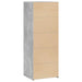 Dulap înalt, gri beton, 45x41x124 cm, lemn prelucrat - WALTI WALTI