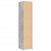 Dulap înalt, gri beton, 40x42,5x185 cm, lemn prelucrat - WALTI WALTI