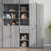 Dulap înalt, gri sonoma, 40x42,5x185 cm, lemn prelucrat - WALTI WALTI