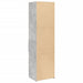 Dulap înalt, gri beton, 50x42,5x185 cm, lemn prelucrat - WALTI WALTI