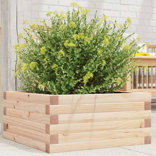 Jardinieră de grădină, 50x50x23 cm, lemn masiv de pin - WALTI WALTI