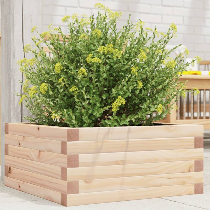 Jardinieră de grădină, 50x50x23 cm, lemn masiv de pin - WALTI WALTI