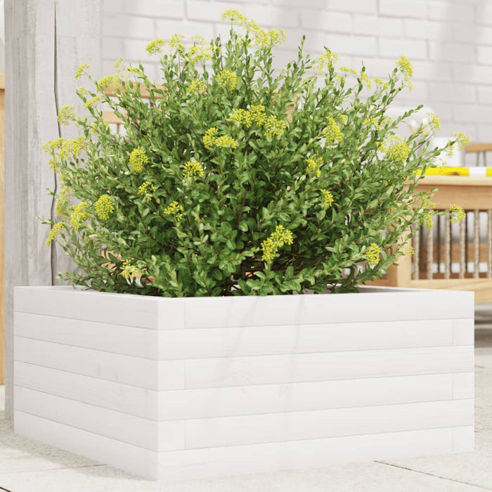 Jardinieră de grădină, alb, 50x50x23 cm, lemn masiv de pin - WALTI WALTI