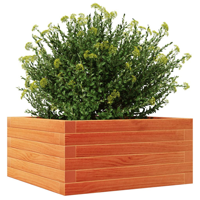 Jardinieră de grădină, maro ceruit, 50x50x23 cm, lemn masiv pin - WALTI WALTI