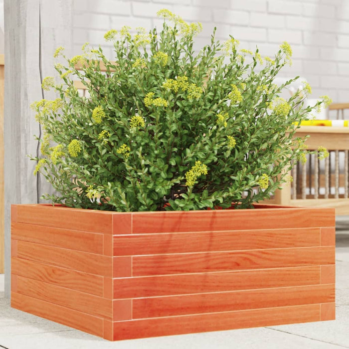 Jardinieră de grădină, maro ceruit, 50x50x23 cm, lemn masiv pin - WALTI WALTI