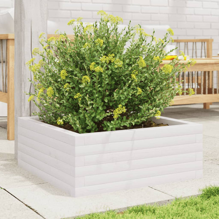 Jardinieră de grădină, alb, 60x60x23 cm, lemn masiv de pin - WALTI WALTI