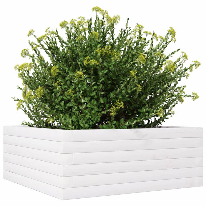 Jardinieră de grădină, alb, 60x60x23 cm, lemn masiv de pin - WALTI WALTI