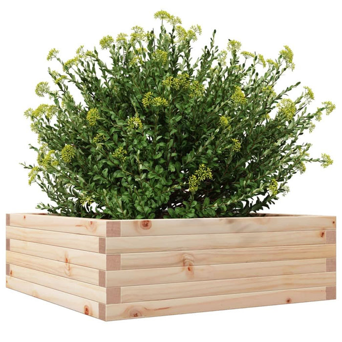 Jardinieră de grădină, 70x70x23 cm, lemn masiv de pin - WALTI WALTI