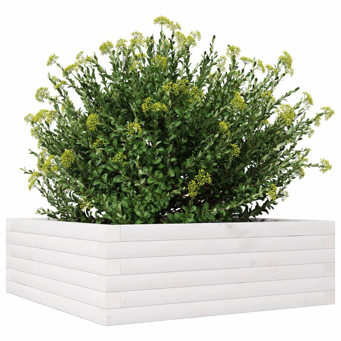 Jardinieră de grădină, alb, 70x70x23 cm, lemn masiv de pin - WALTI WALTI
