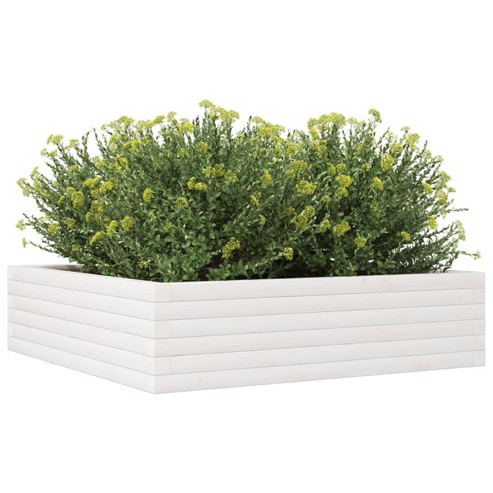 Jardinieră de grădină, alb, 90x90x23 cm, lemn masiv de pin - WALTI WALTI