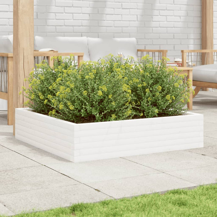 Jardinieră de grădină, alb, 100x100x23 cm, lemn masiv de pin - WALTI WALTI