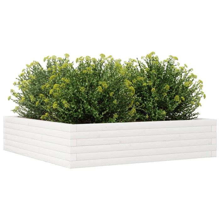 Jardinieră de grădină, alb, 100x100x23 cm, lemn masiv de pin - WALTI WALTI