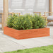 Jardinieră de grădină, maro ceruit, 100x100x23cm lemn masiv pin - WALTI WALTI