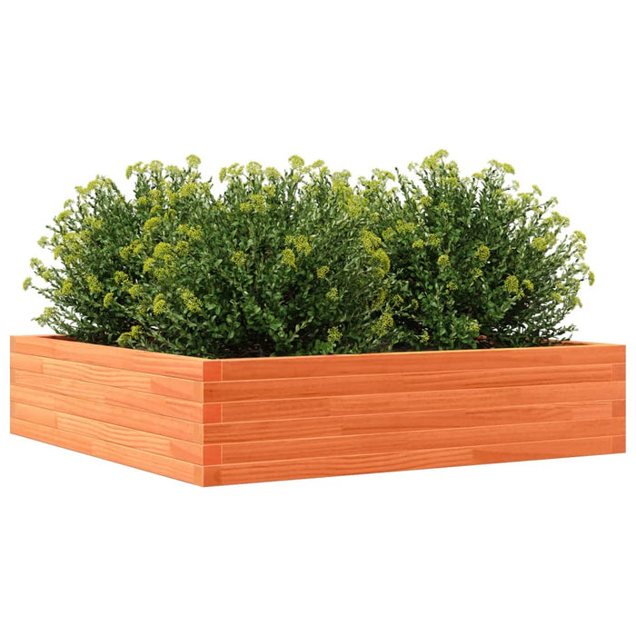 Jardinieră de grădină, maro ceruit, 100x100x23cm lemn masiv pin - WALTI WALTI