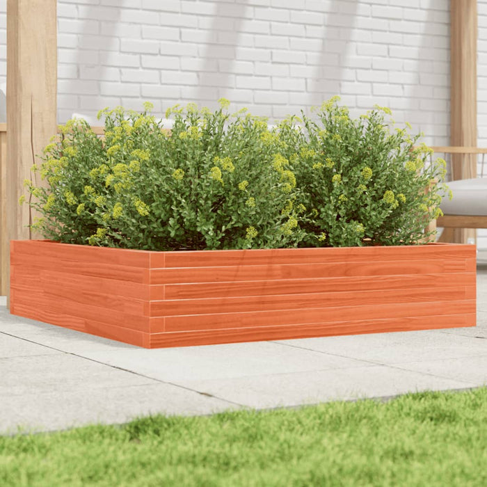Jardinieră de grădină, maro ceruit, 100x100x23cm lemn masiv pin - WALTI WALTI