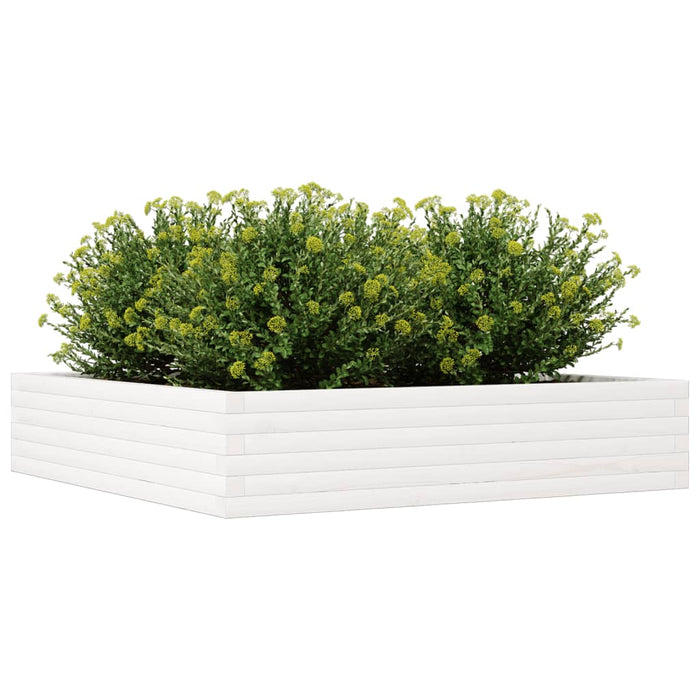 Jardinieră de grădină, alb, 110x110x23 cm, lemn masiv de pin - WALTI WALTI