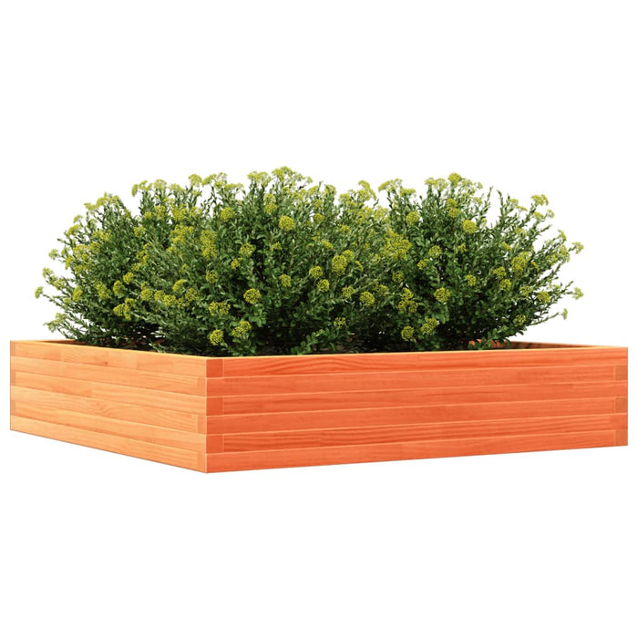 Jardinieră grădină, maro ceruit, 110x110x23 cm, lemn masiv pin - WALTI WALTI