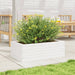 Jardinieră de grădină, alb, 70x40x23 cm, lemn masiv de pin - WALTI WALTI