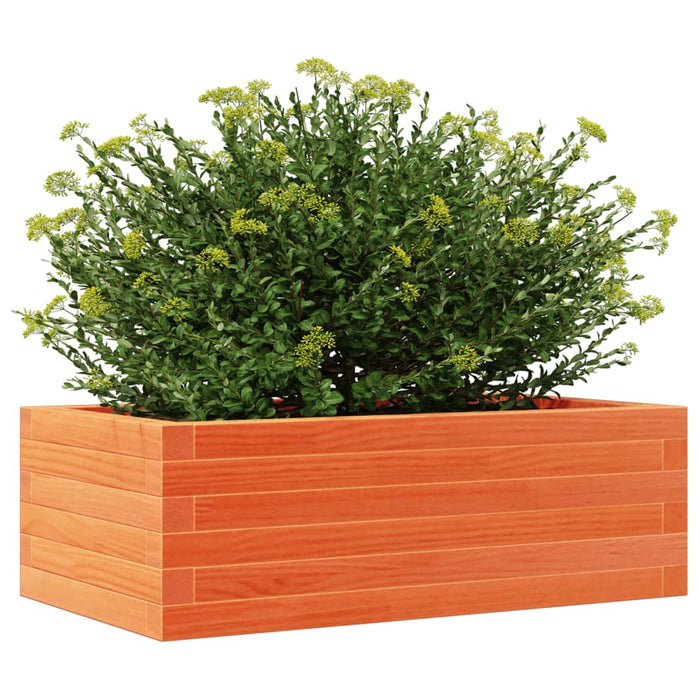 Jardinieră de grădină, maro ceruit, 70x40x23 cm, lemn masiv pin - WALTI WALTI
