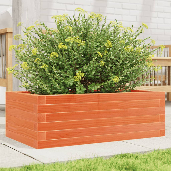 Jardinieră de grădină, maro ceruit, 70x40x23 cm, lemn masiv pin - WALTI WALTI