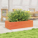 Jardinieră de grădină, maro ceruit, 90x40x23 cm, lemn masiv pin - WALTI WALTI